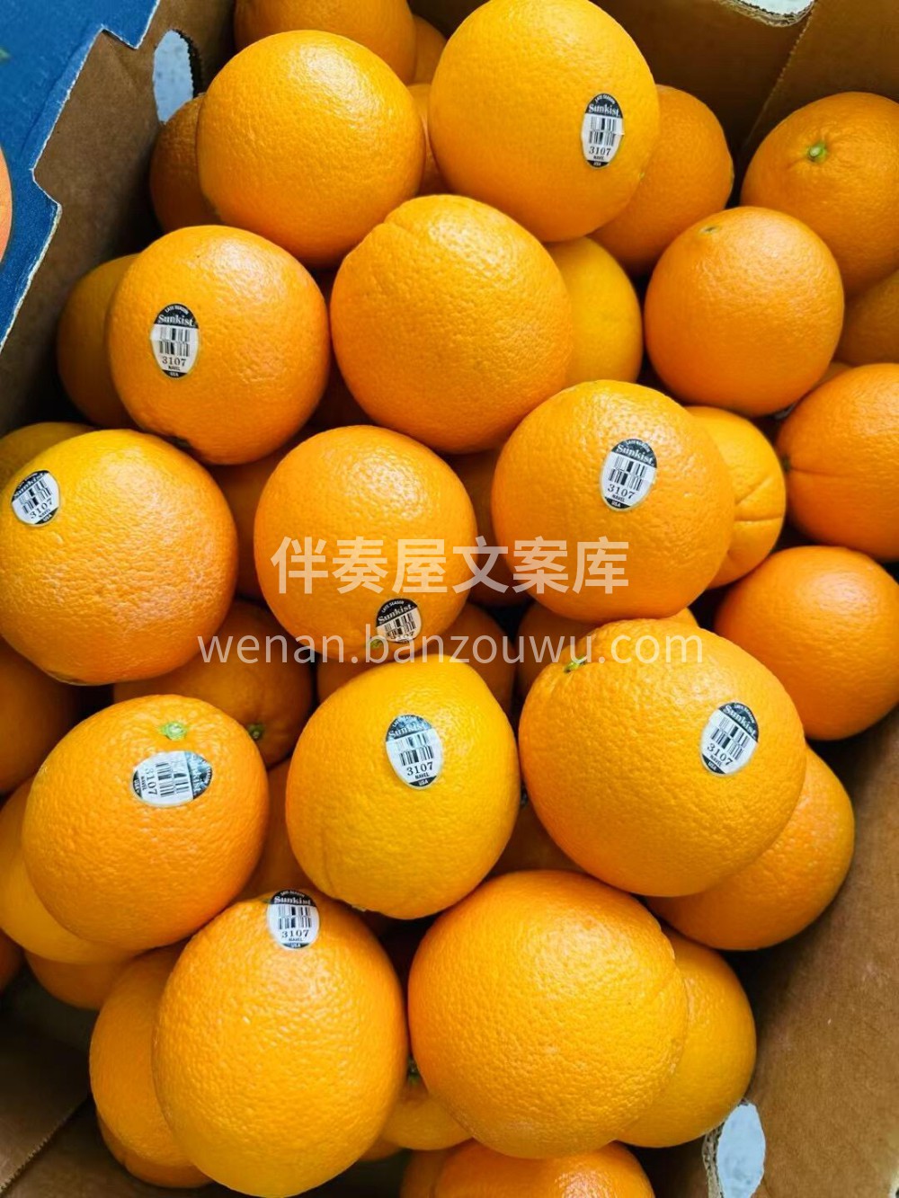 3107黑标新奇士美国🇺🇸橙🍊橙子界品质 配图3