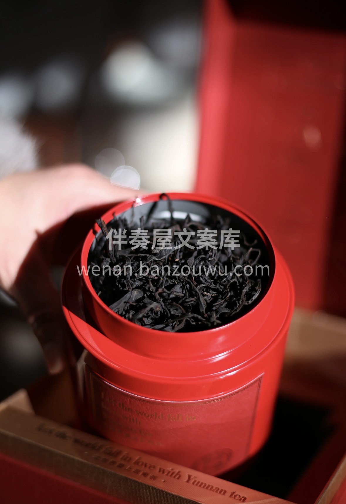 ❄️冬日暖茶🍵 深山野生古树红，茶汤醇厚 配图1