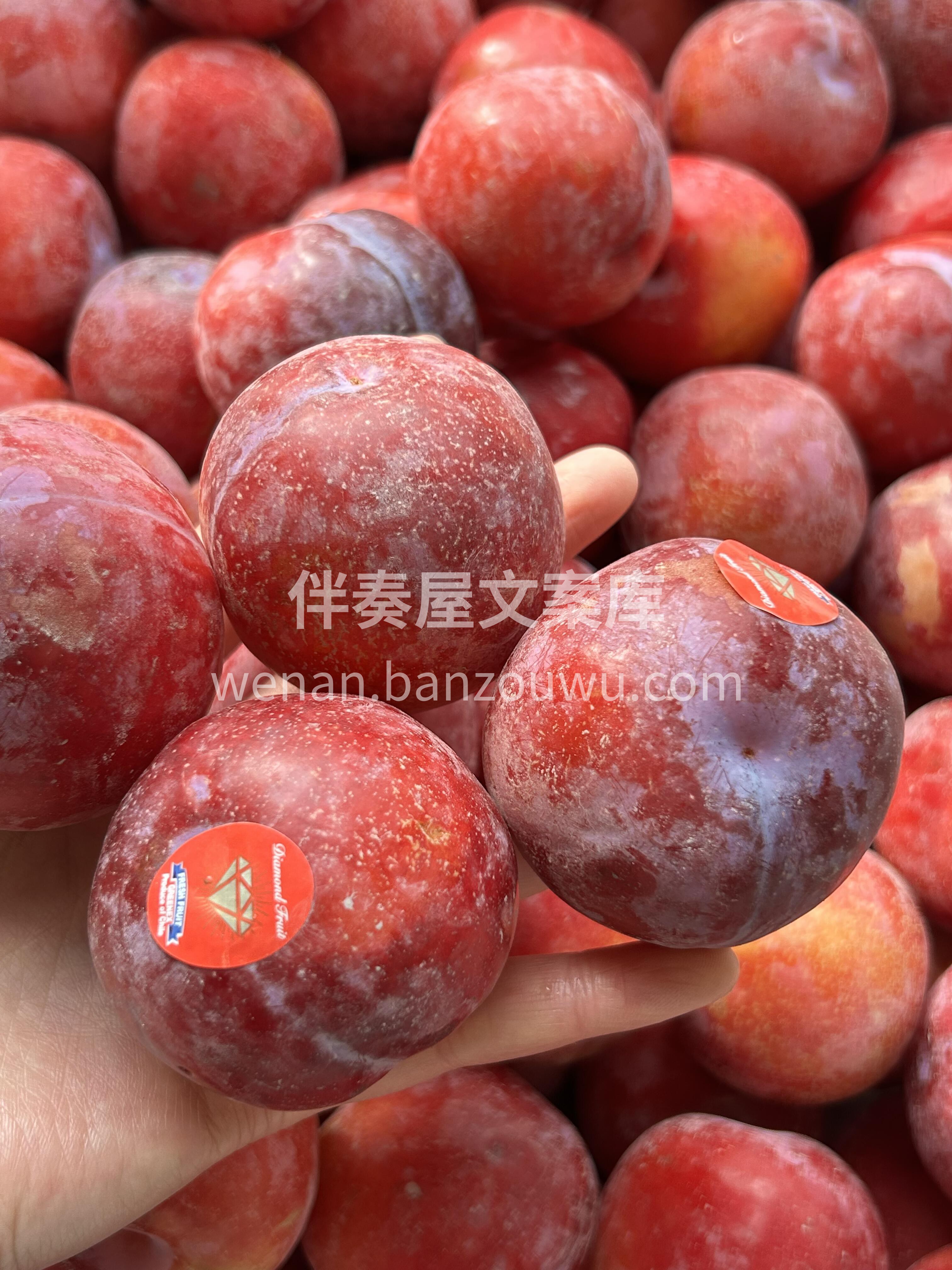 【太阳李🌞】～真正的神仙货🔥 果肉嫩黄色 配图2