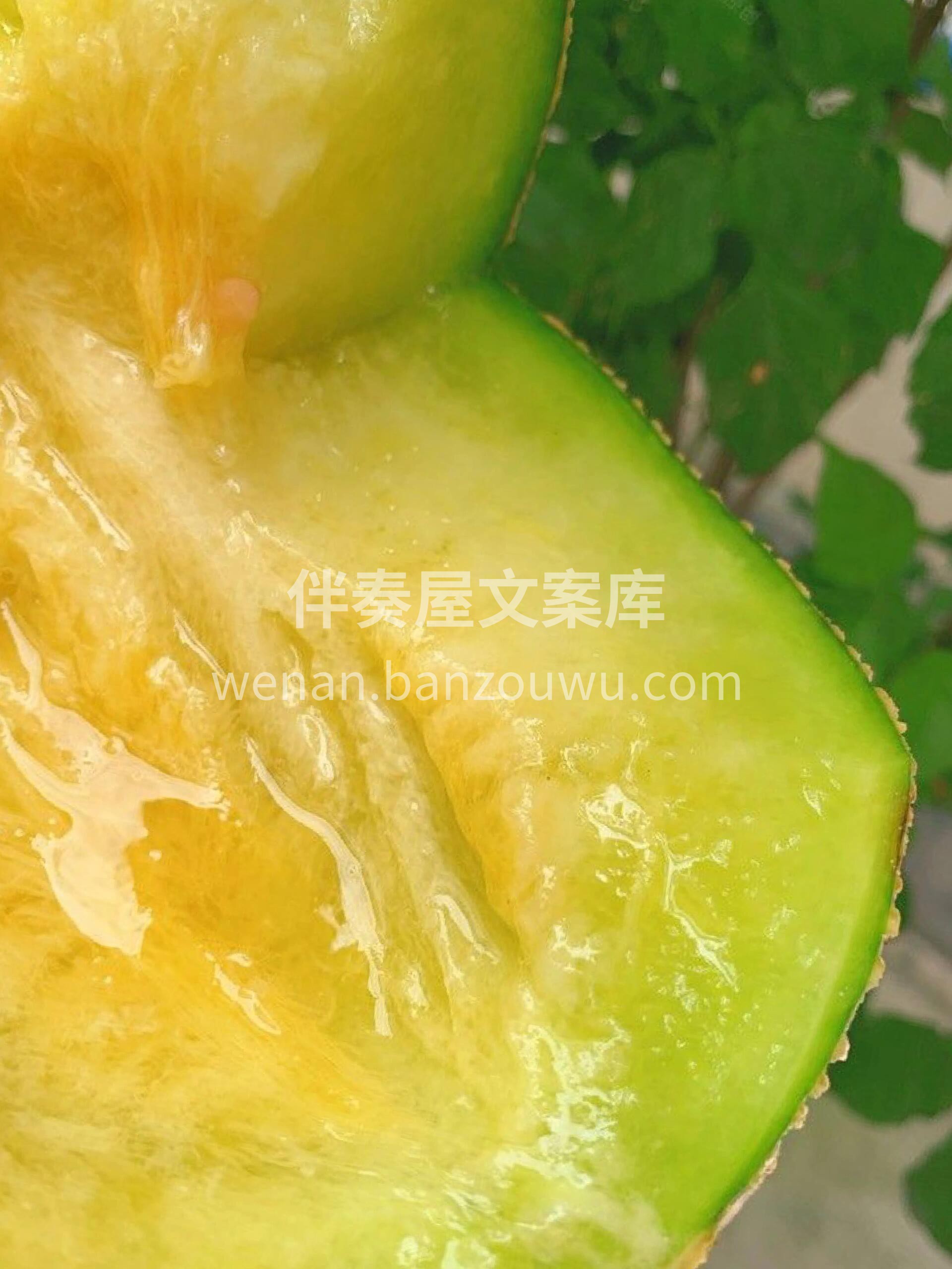 ✌🏻️推荐大家一款不错的网纹瓜🍈入口酥软 配图2