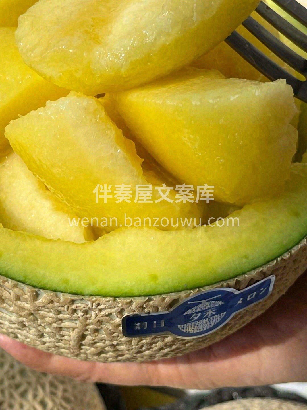 一藤只留一颗瓜🍈，一瓜甜蜜一个人💌 冰激 配图2