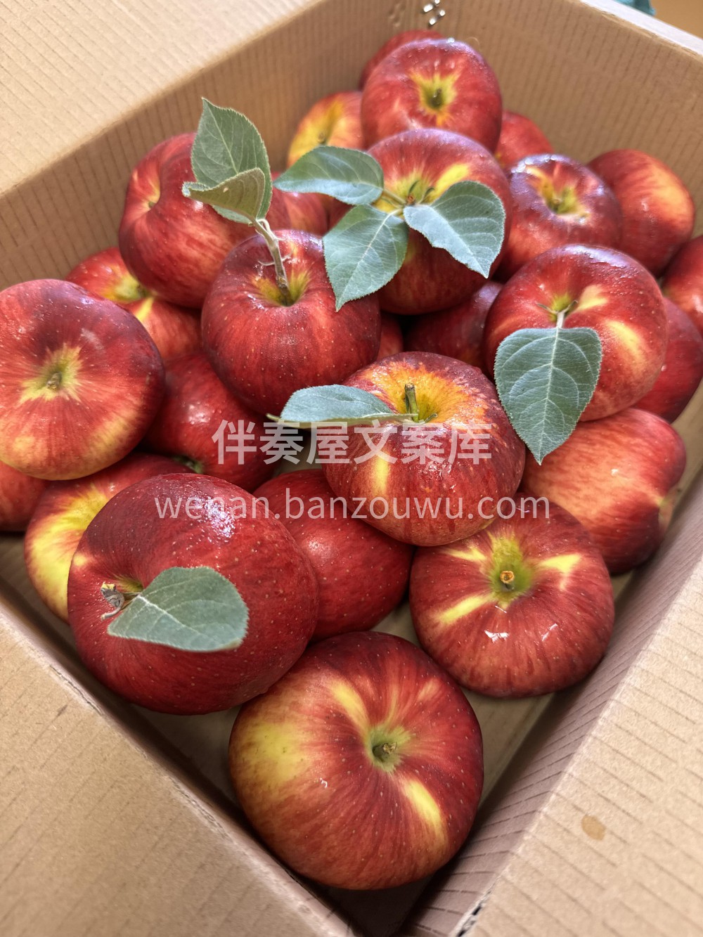 云南昭通苹果🍎咬一口嘎嘣脆，汁水超多😍浓 配图3