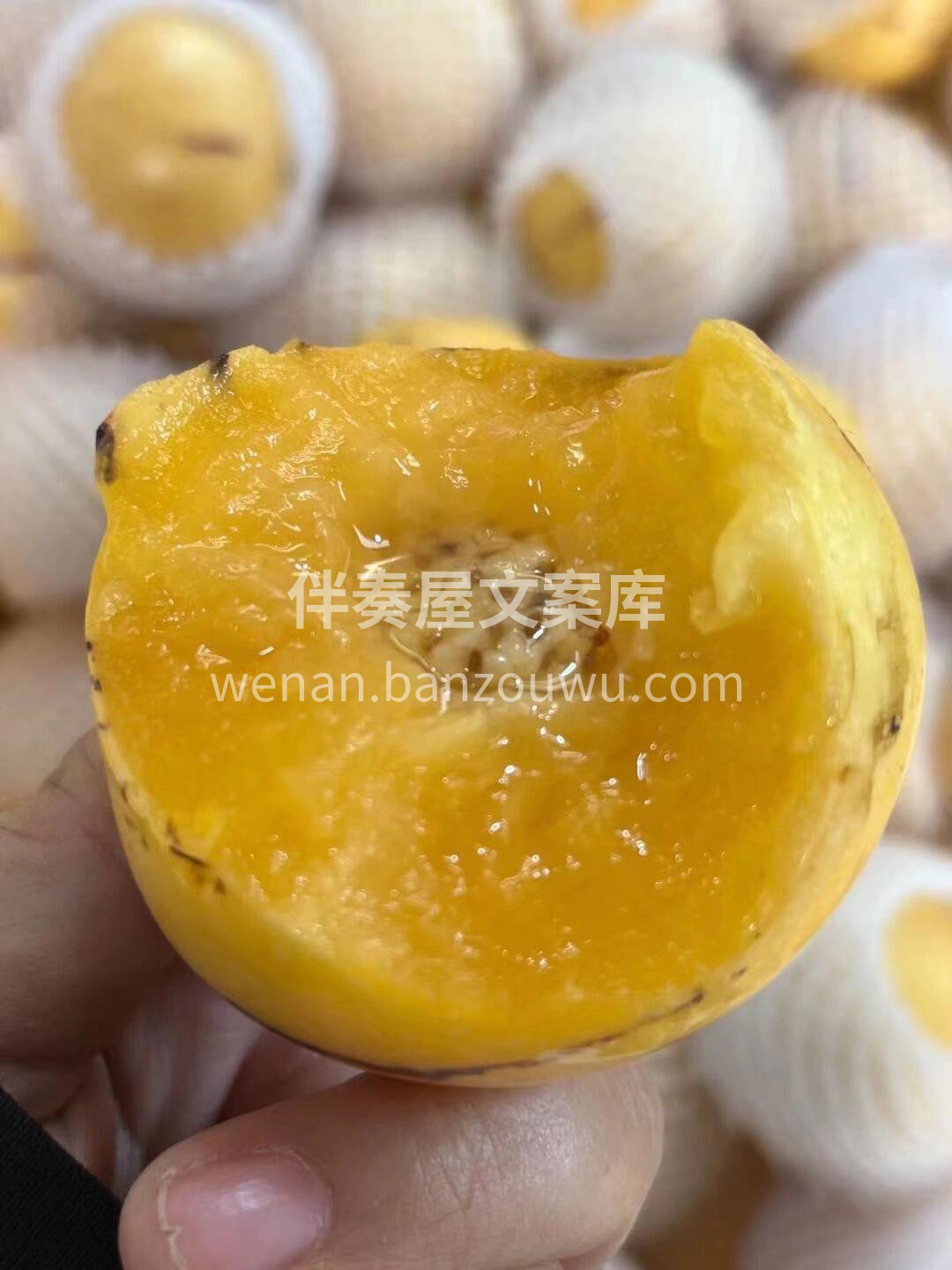 💥到货‼️云南高原人参果 一口飚汁润心田 配图1