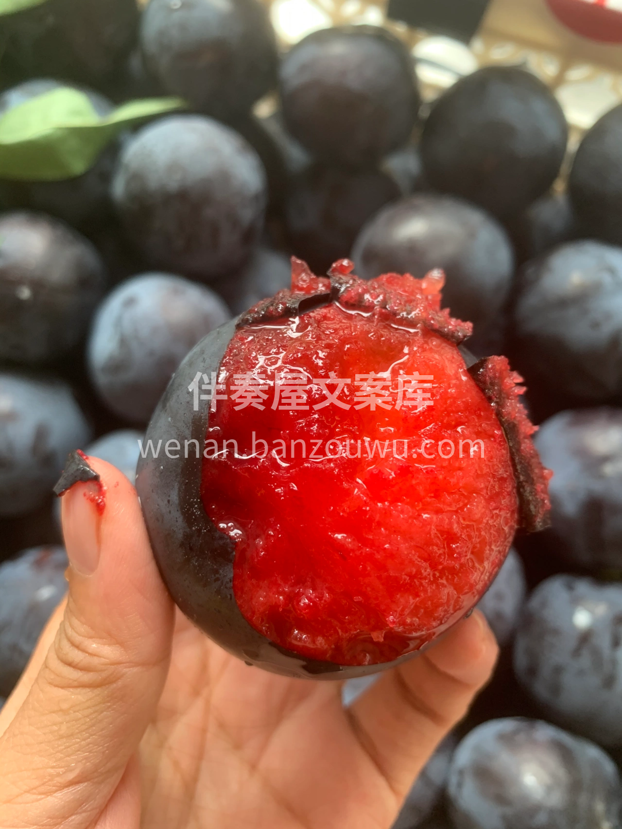 🌞天气太热没胃口💗 来份黑布林李子吧😉  配图1