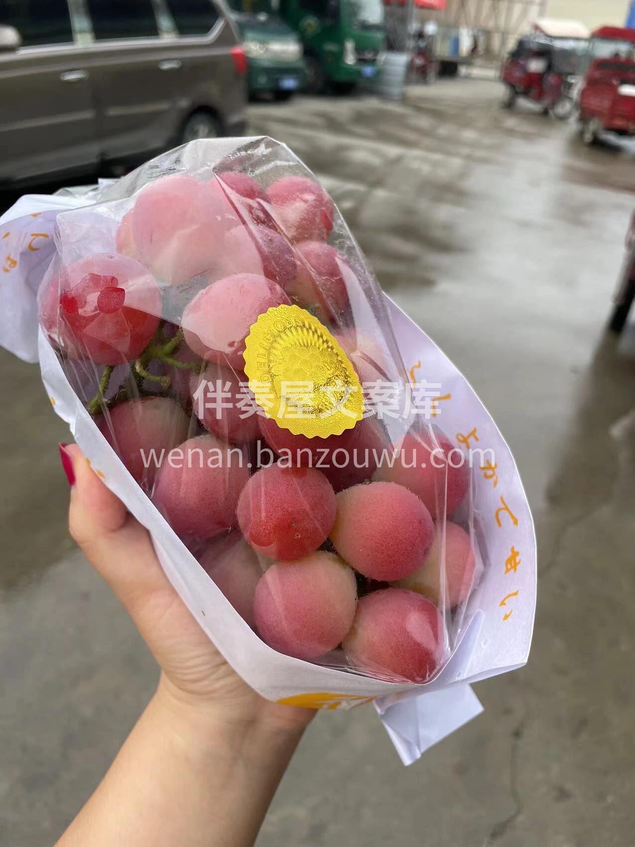 妮娜皇后?实拍，自然上色 大部分带糖心| 配图1