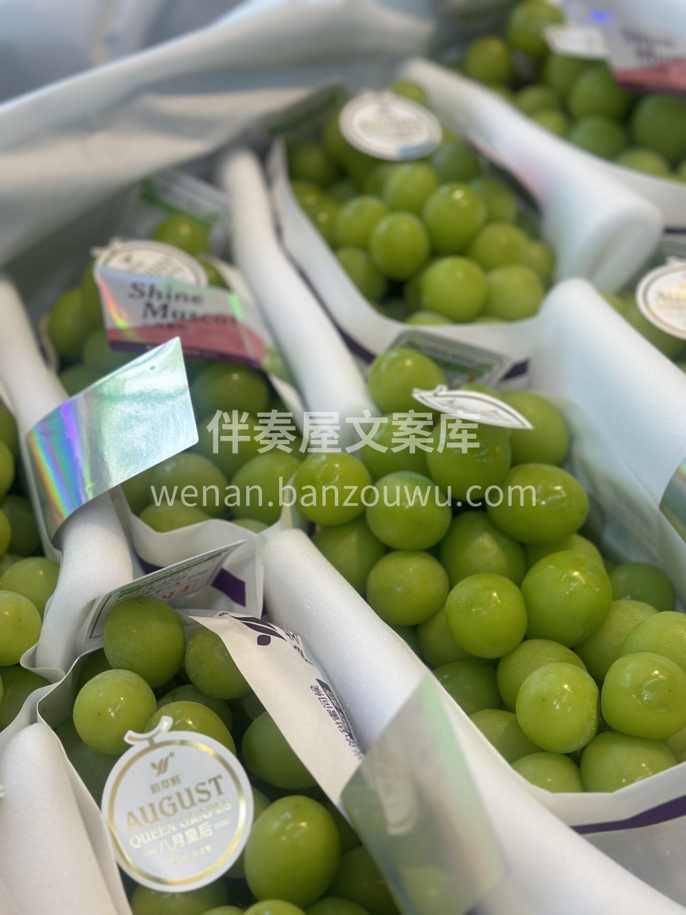 ✨晴王葡萄特级果每一串都是极致饱满，超级 配图3