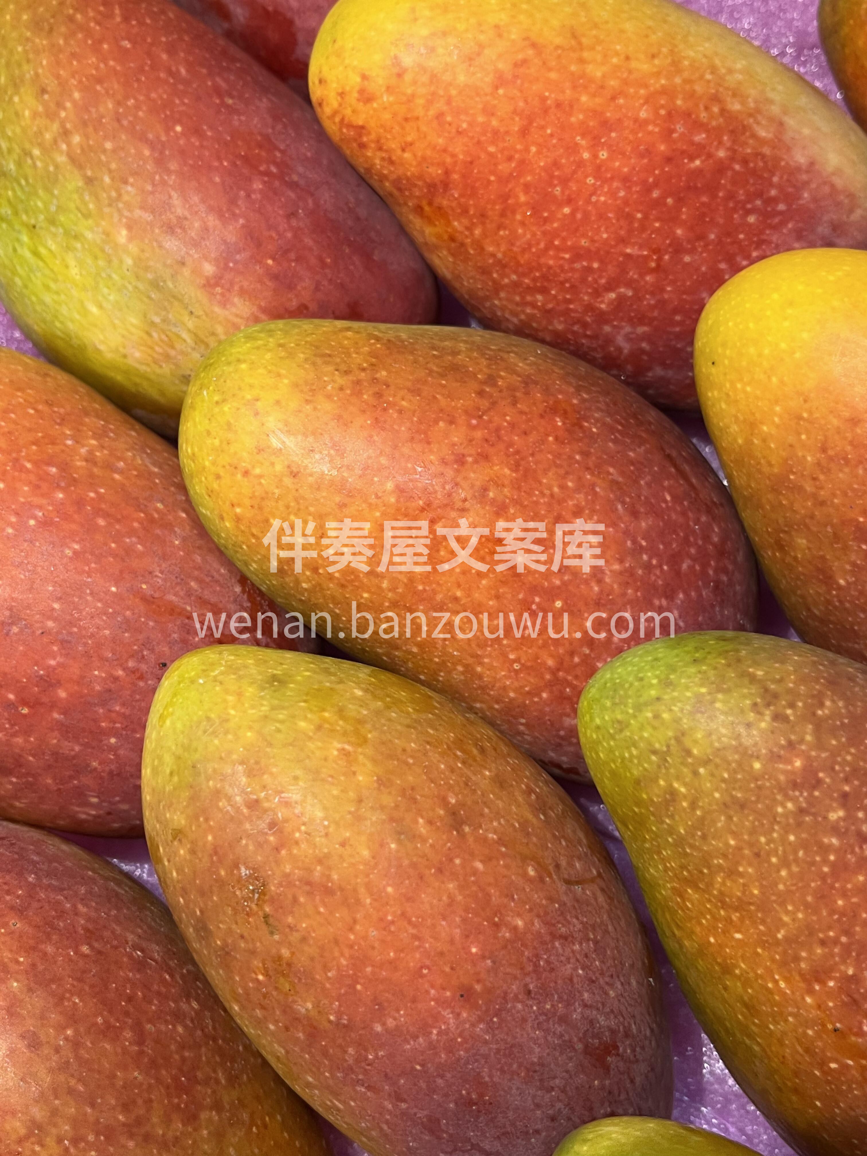 树熟贵妃芒🥭 全是胖嘟嘟的大果✌️ 超级 配图3