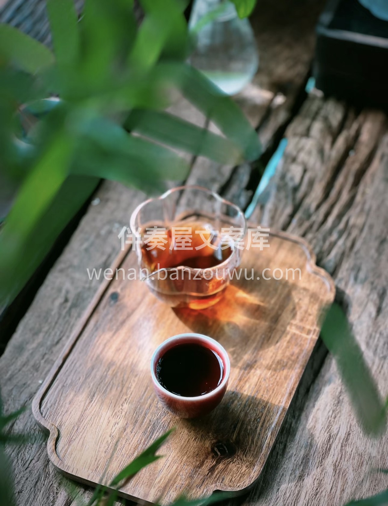 🎁 送茶，送健康，送心意。选择我们的茶叶 配图2