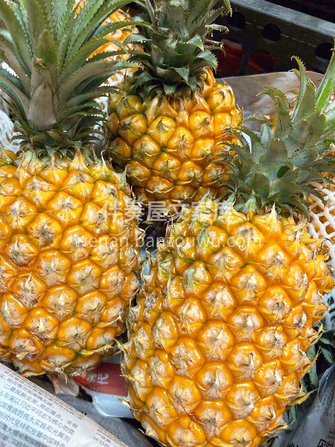 🍍菠萝皇后👑 汁水淌如蜜，清甜不涩口🍹  配图3