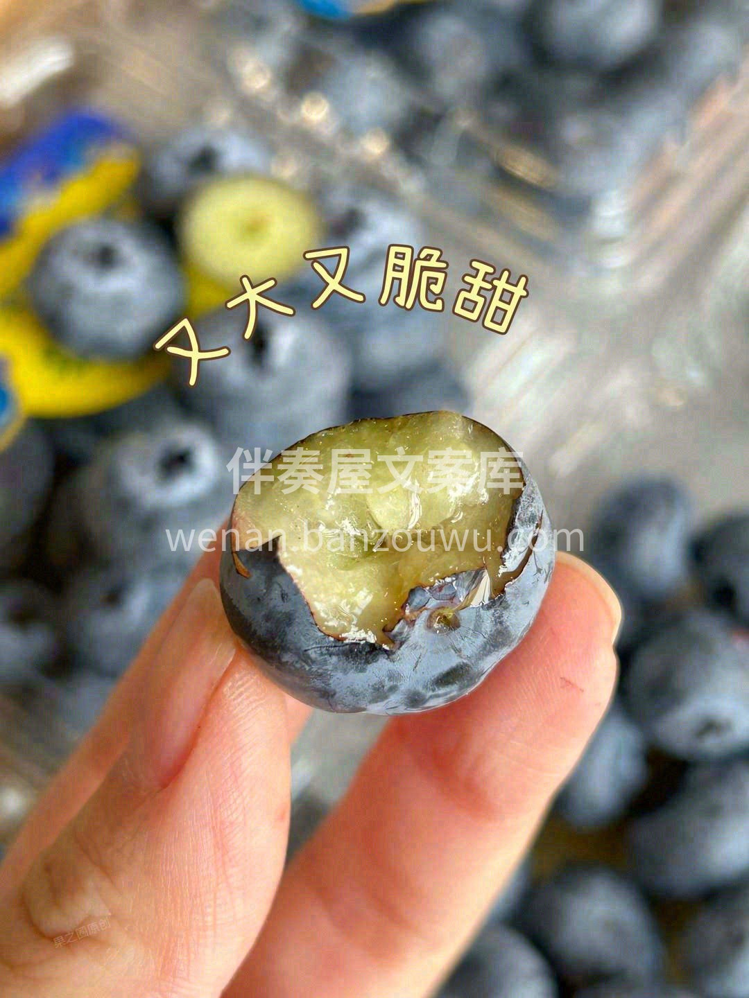 😋尝过一次，就忘不掉的Driscoll' 配图1