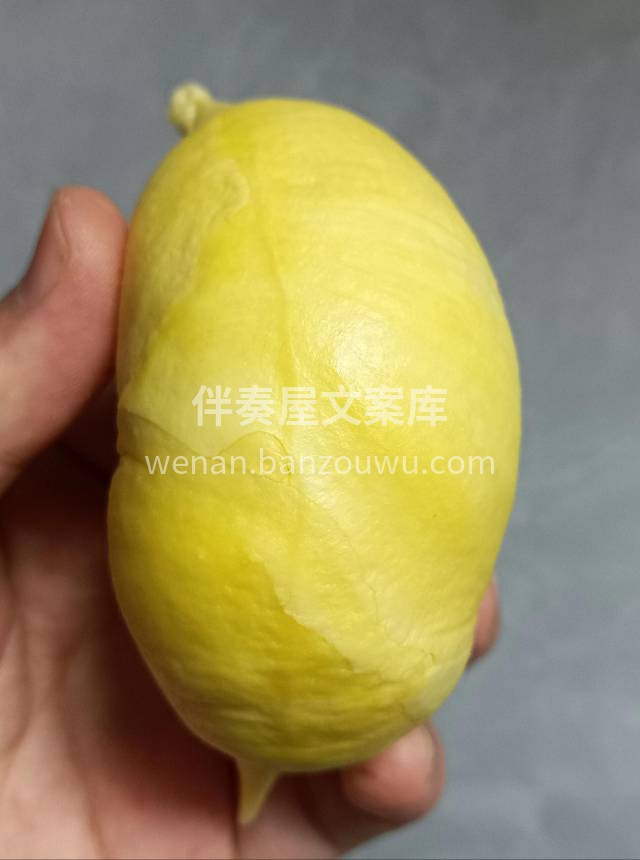 金枕榴莲，肥嘟嘟～香香糯糯，咬上一口💋绵 配图2