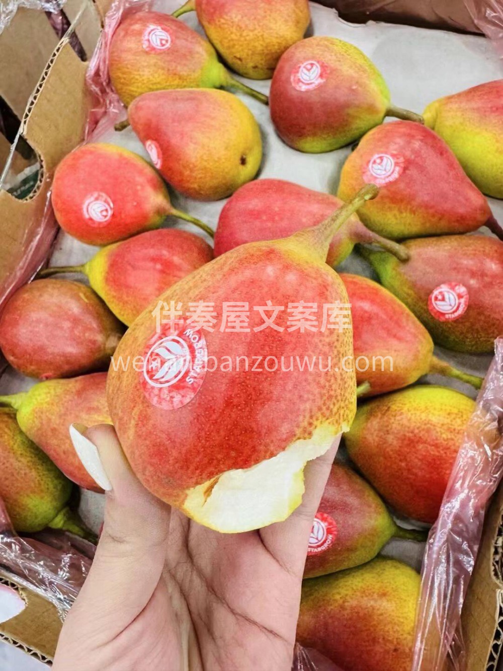智利🇨🇱红标彩啤梨 美貌与实力并存🫣美貌 配图2
