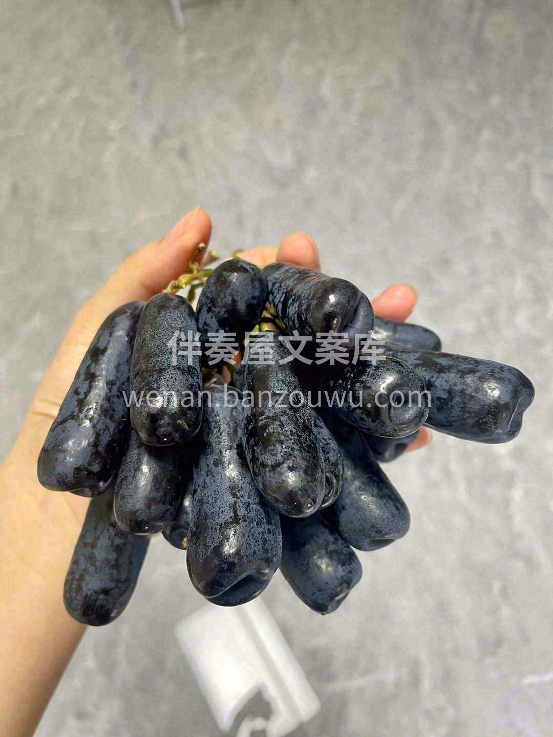 蓝宝石黑提拥有着与众不同的独特口感✨ 放 配图2