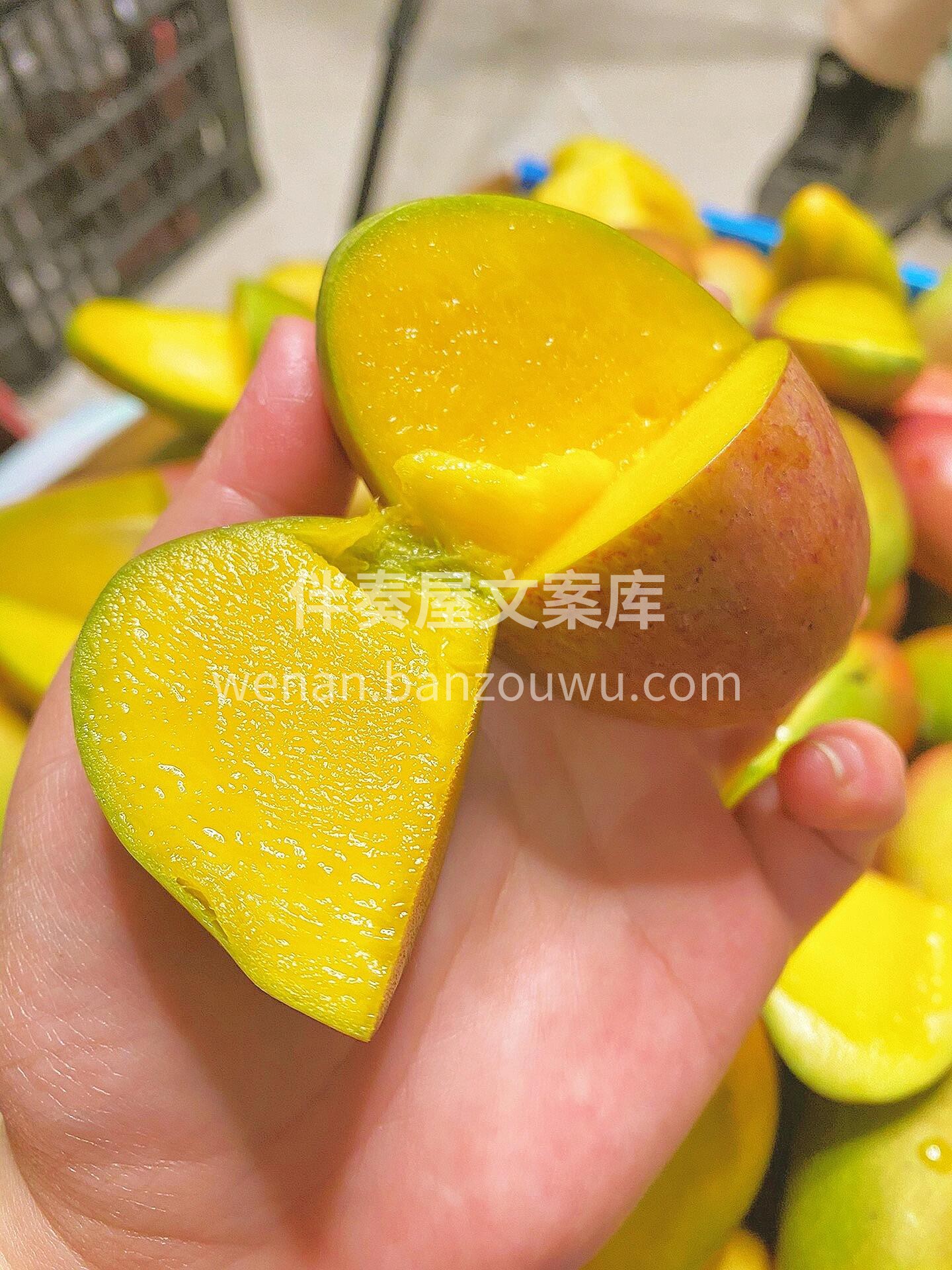 吃一口就会念念不忘的贵妃芒?不打药，不催 配图1