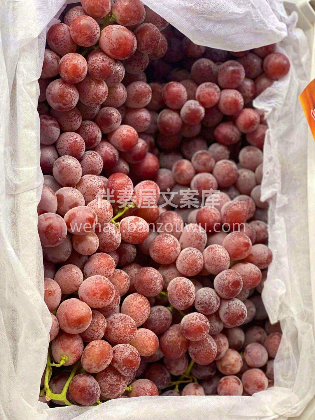 果肉脆甜多汁💦，吃上几粒🍇 剔透晶莹的果 配图3