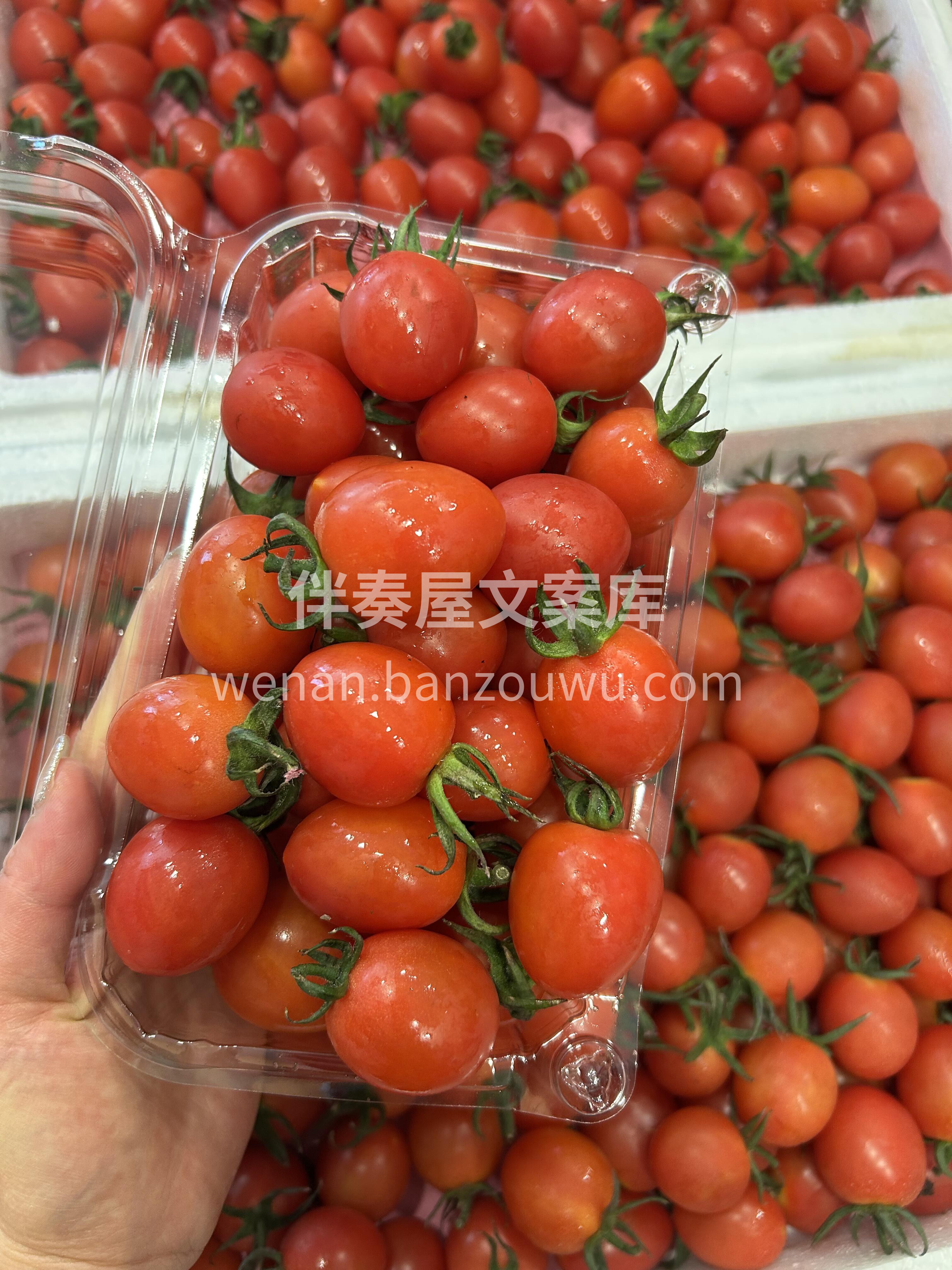 🍅电白千禧真的是一口一个的幸福感🎊 清香 配图2