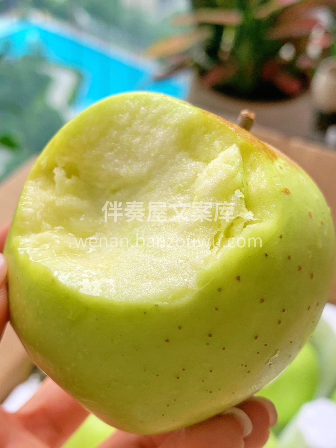 🍏【澳洲青苹爽脆来袭啦‼️】 果肉紧实多 配图2