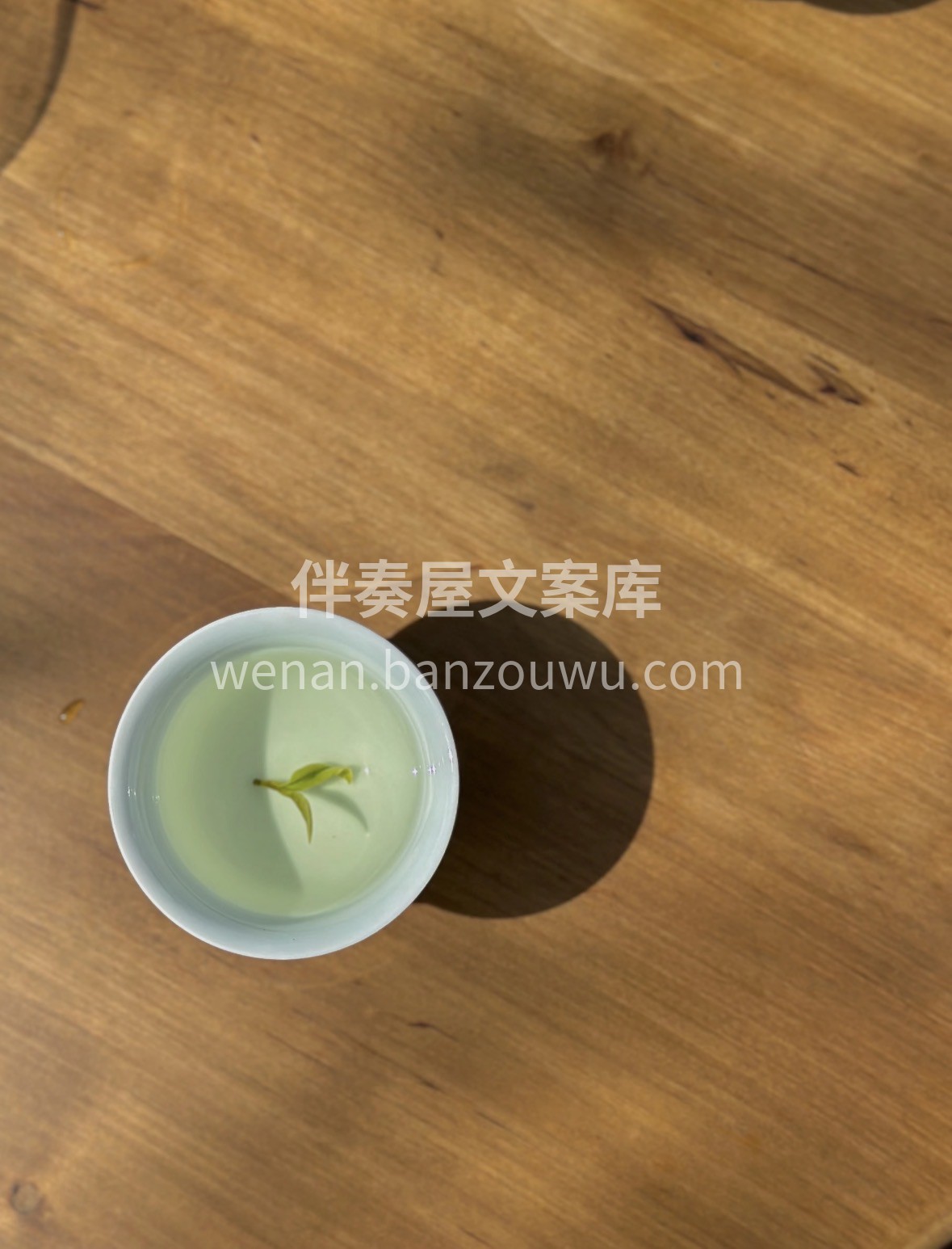 资溪白茶｜高山云雾生长，芽叶肥嫩，毫香显 配图2