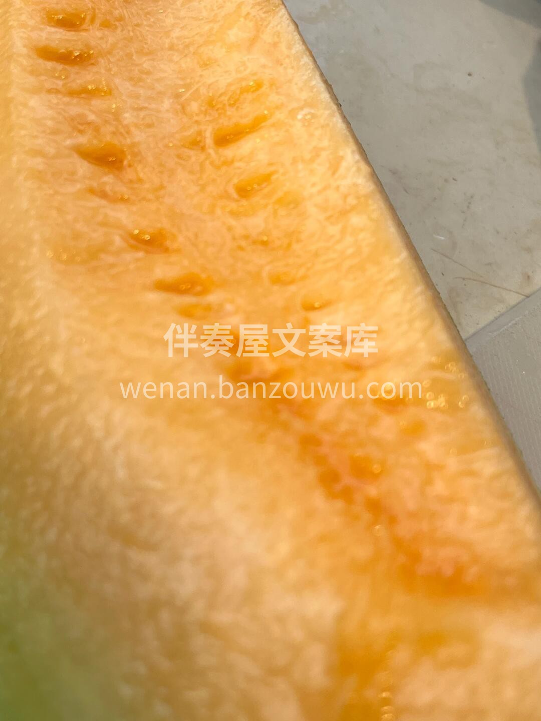 🍈你现在距离开心就差一颗绚丽多汁的哈密瓜 配图2