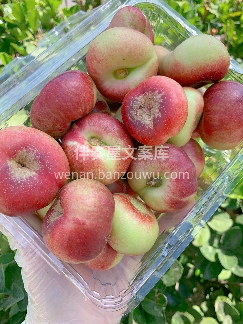 纽扣蟠桃🍑 应了那句话“浓缩的都是精华” 配图3