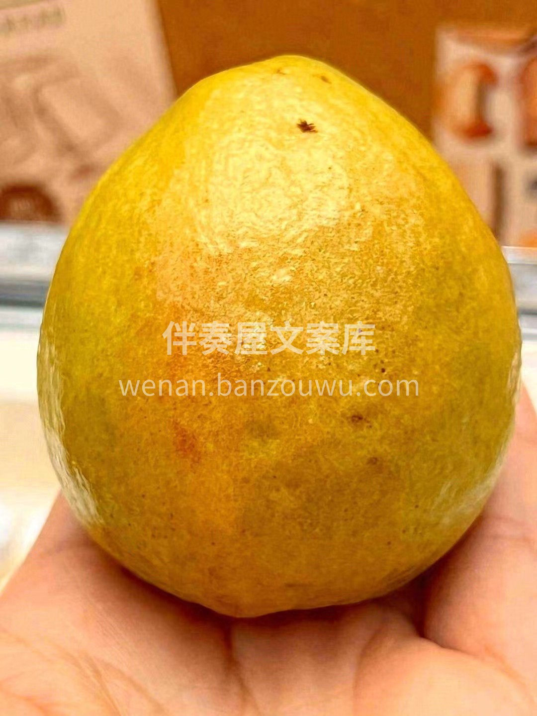 😋需要好吃的“芭乐”吗？ 台湾正宗番石榴 配图2