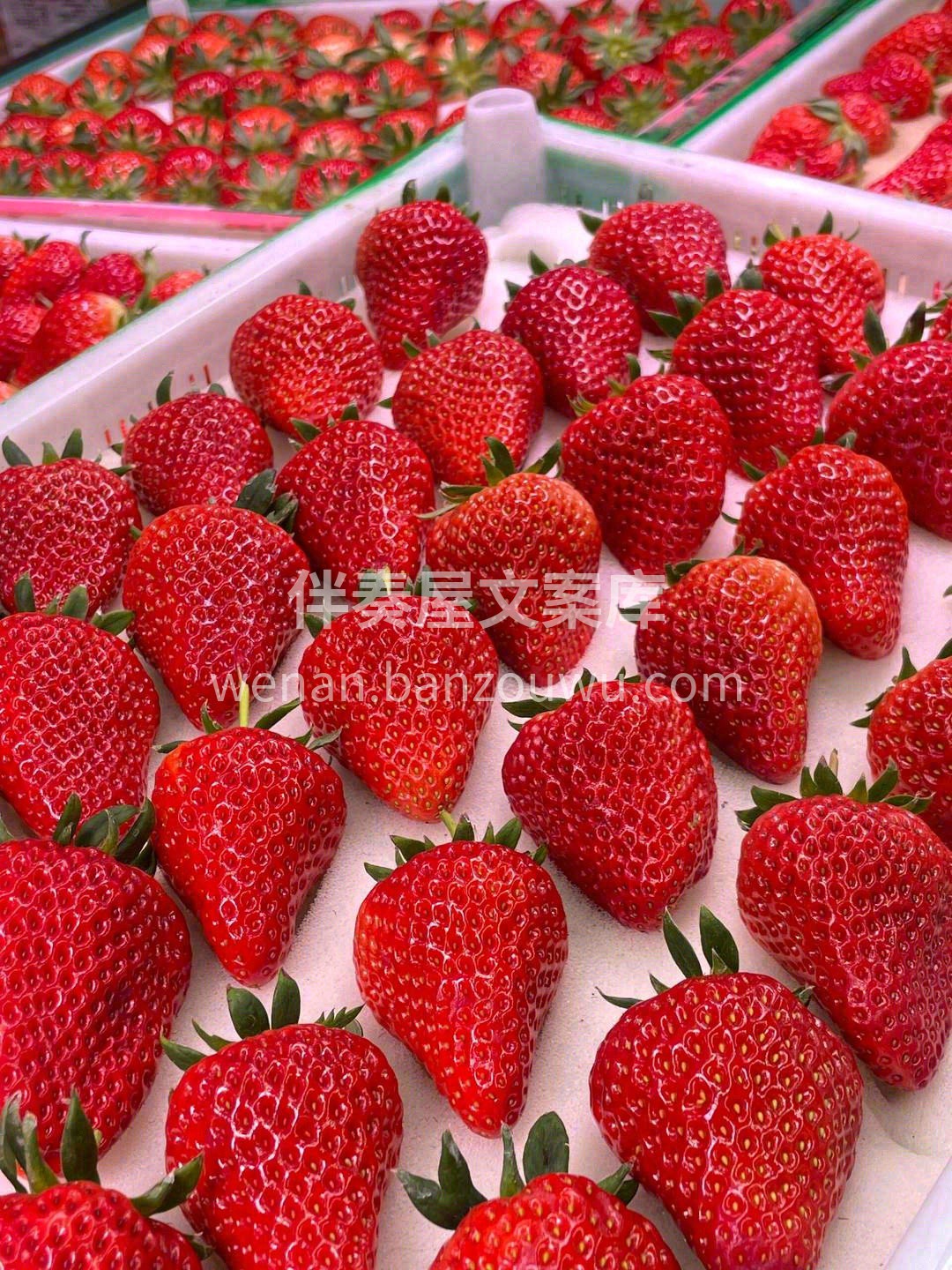 🍓 今日份的糖分超标预警！这满屏的红通通 配图1