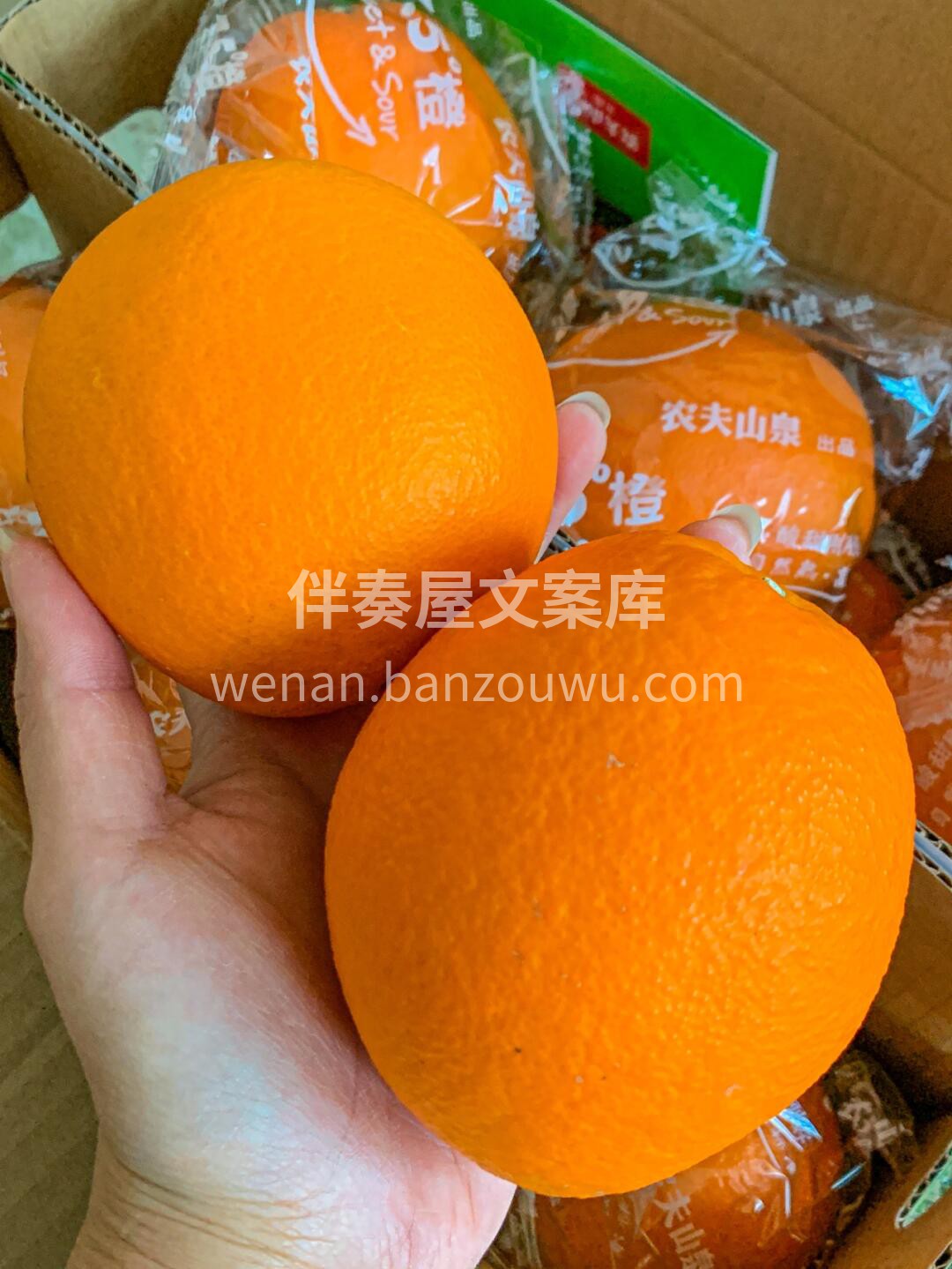 人类舌头表面👅，密布着约一万个味蕾💫 1 配图1