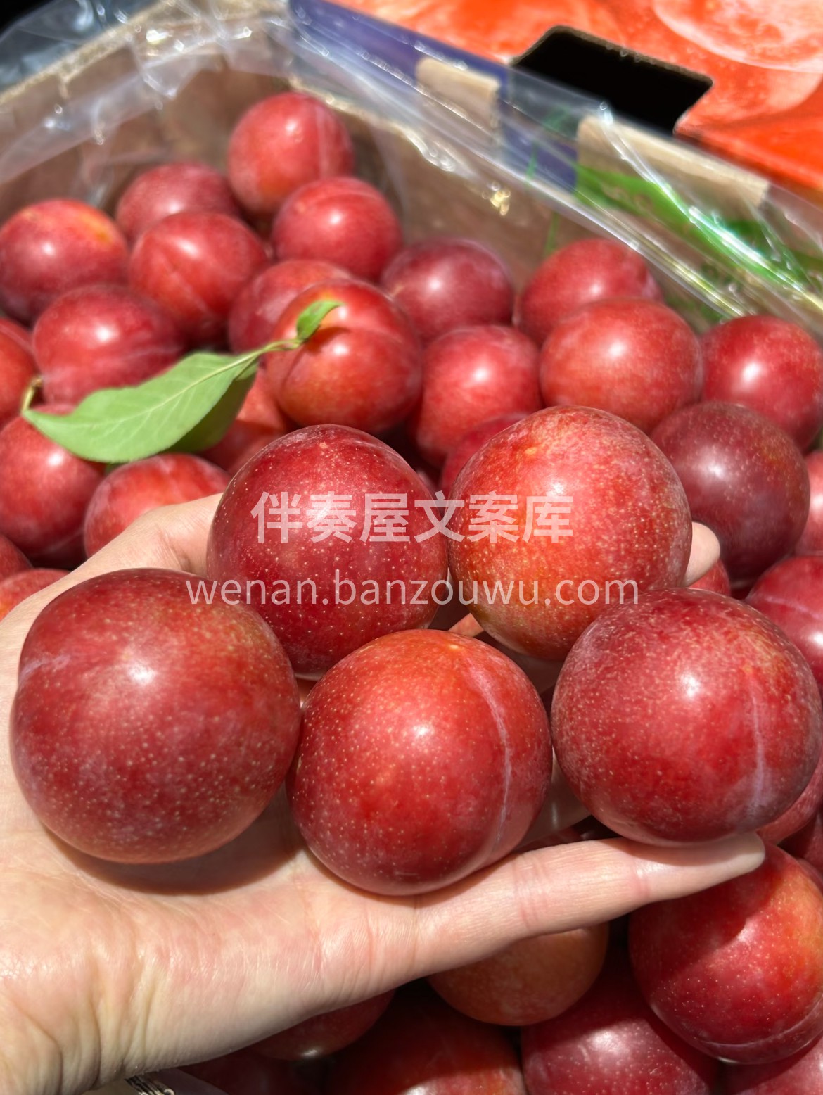 💕樱桃李来咯🍒 粉嫩嫩的表皮上，泛着透亮 配图2