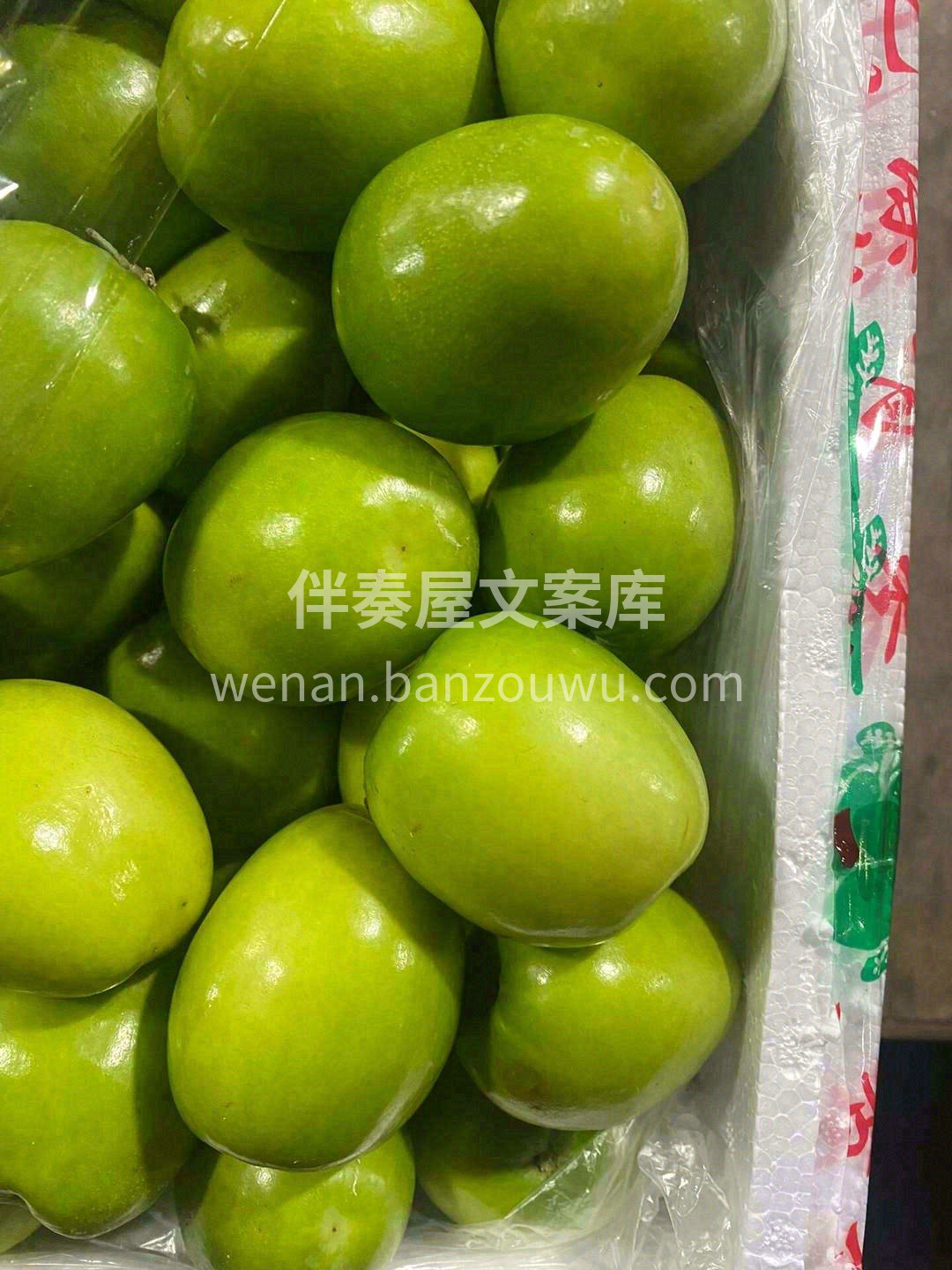 🍃青枣特别适合现在乍暖还寒的干燥天气 清 配图1