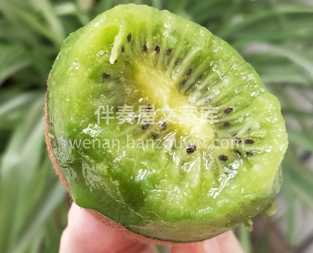 🥝猕猴桃.细腻，沙甜，多汁 唯一不能错过 配图3