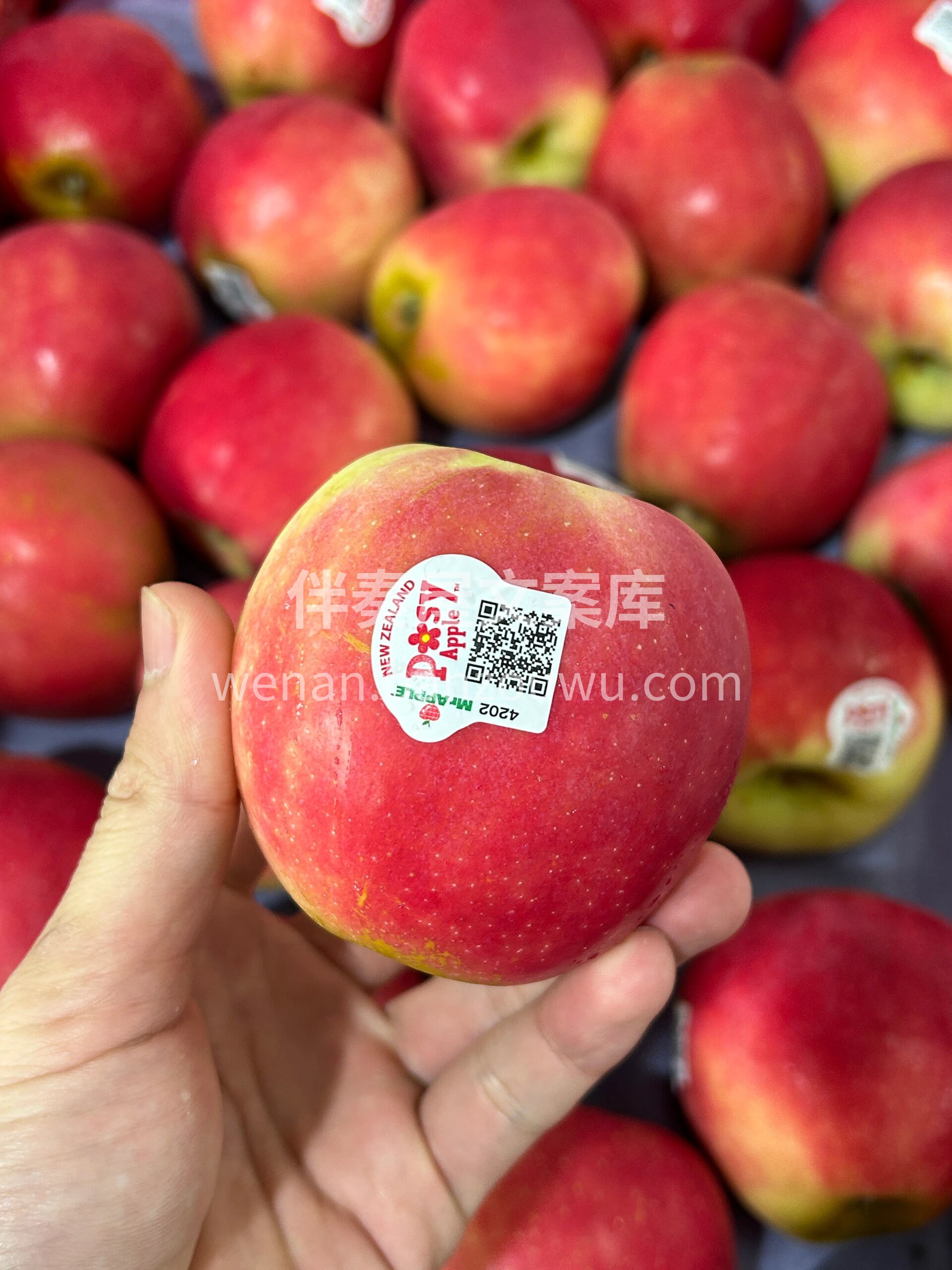 新西兰微风苹果🍎 这一口清爽只有自己知道 配图3