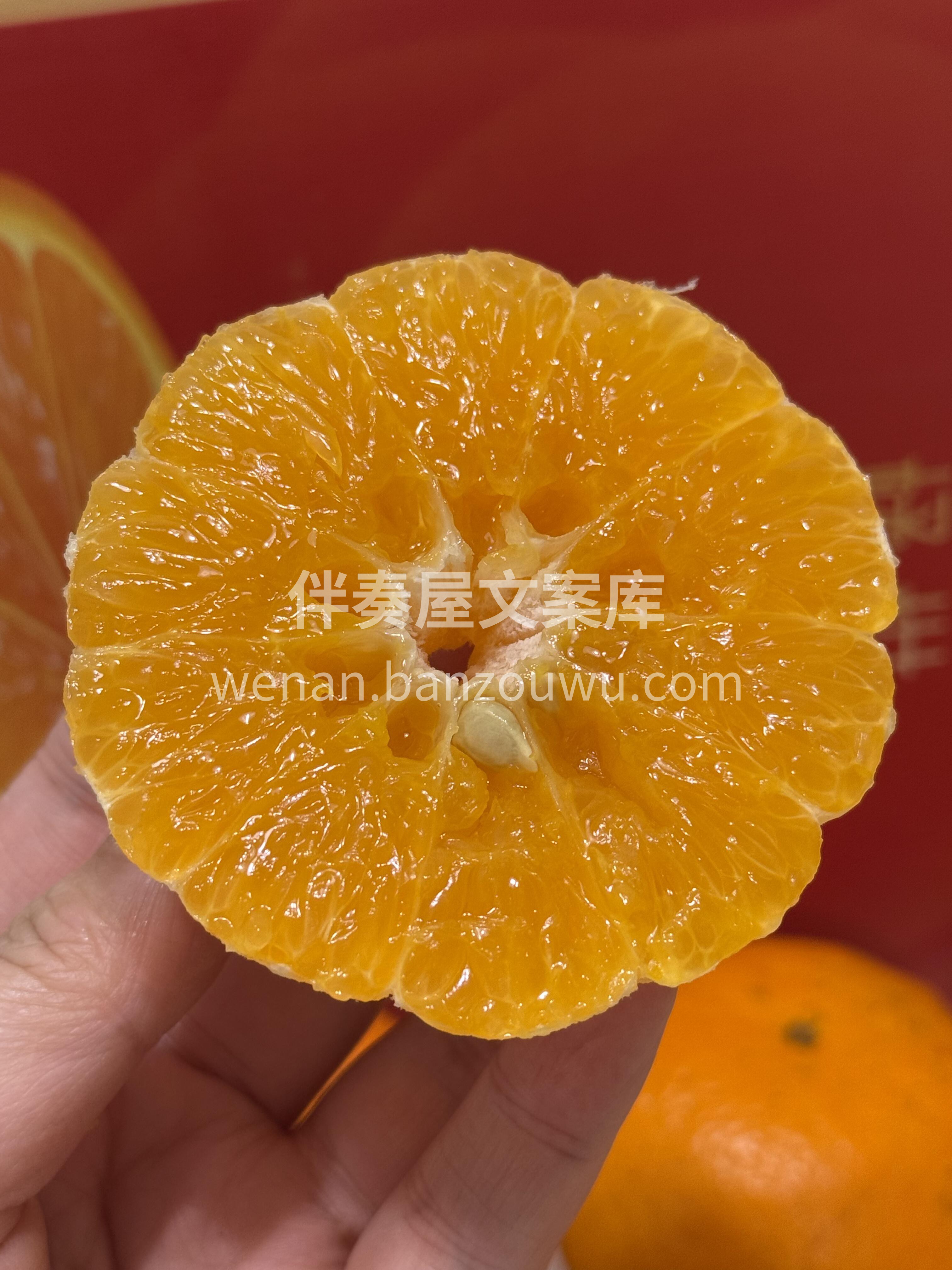 🙋超多回头客的沃柑🍊 阳光、温度、土壤、 配图1