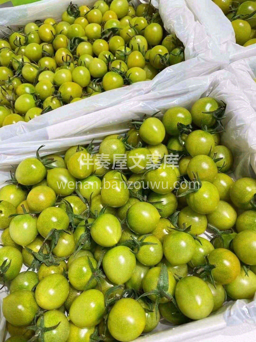形似绿玛瑙🍃🍃通透可爱😊 口味清香诱人， 配图3