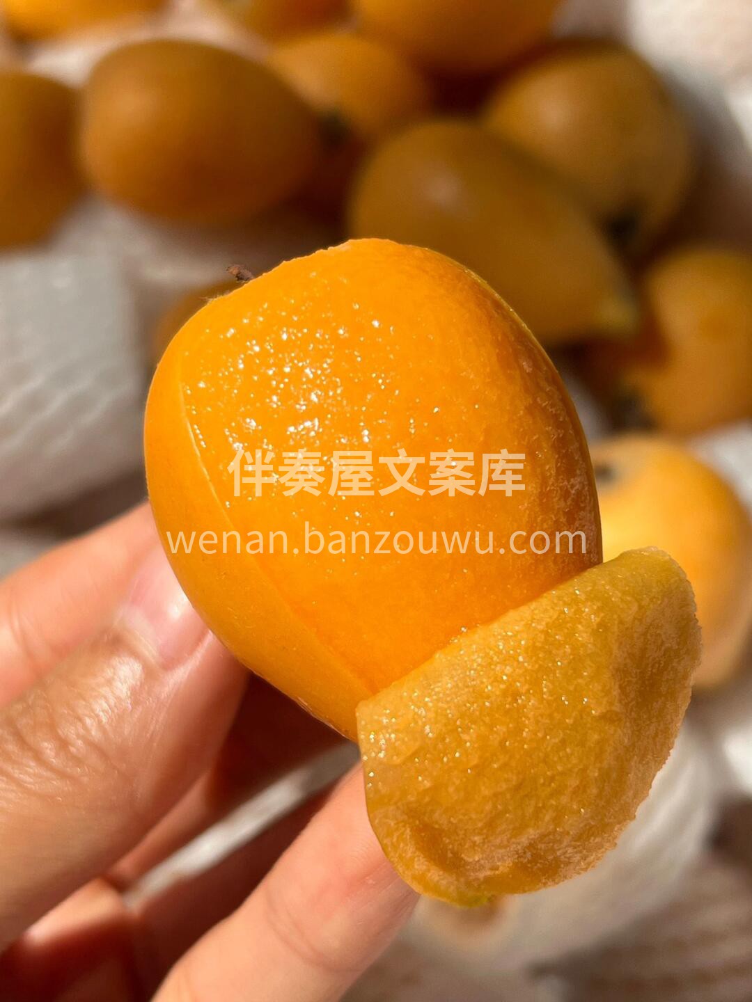 枇杷，是初冬的味道🧡 快去抢占这第一口甜 配图1
