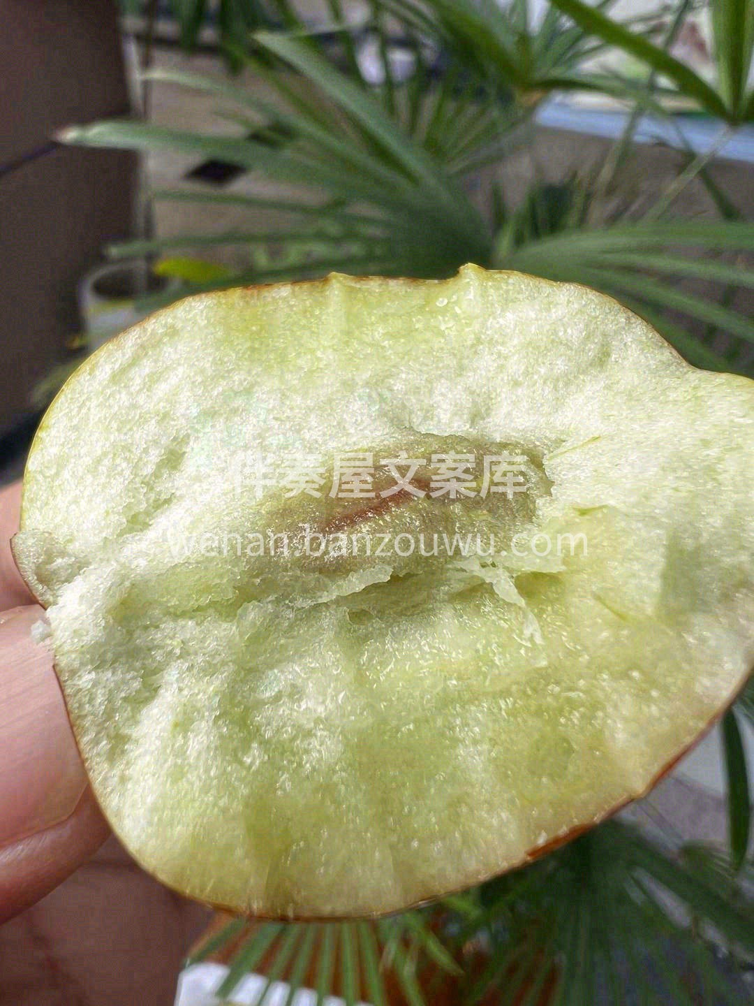 🔆 如果你厌倦了瓜果的甜蜜👆 那尝尝这颗 配图1