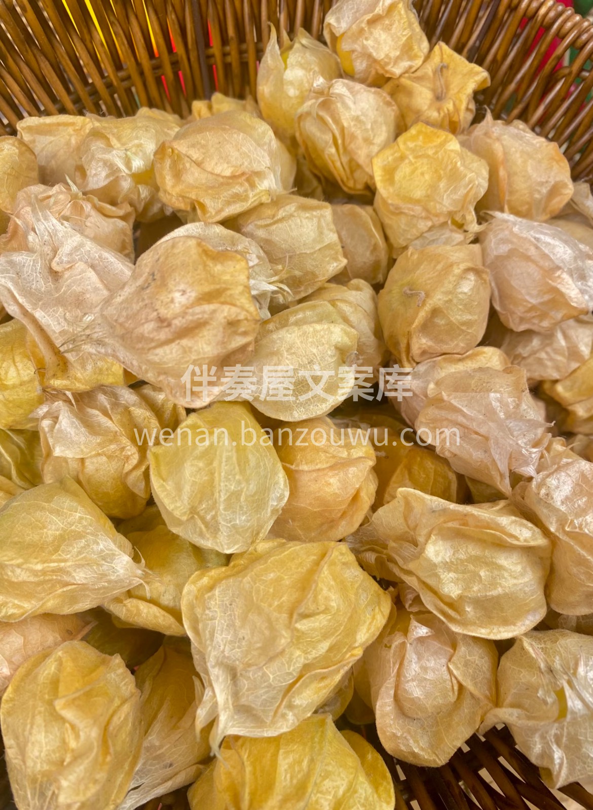🔥【姑娘果】✅ 这颗裹着“小灯笼”的姑娘 配图1