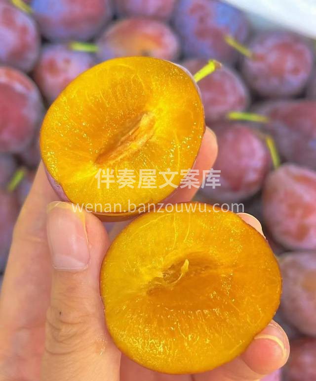 😍新疆的轻畅快乐果-新疆西梅 🔆饱饮高山 配图3