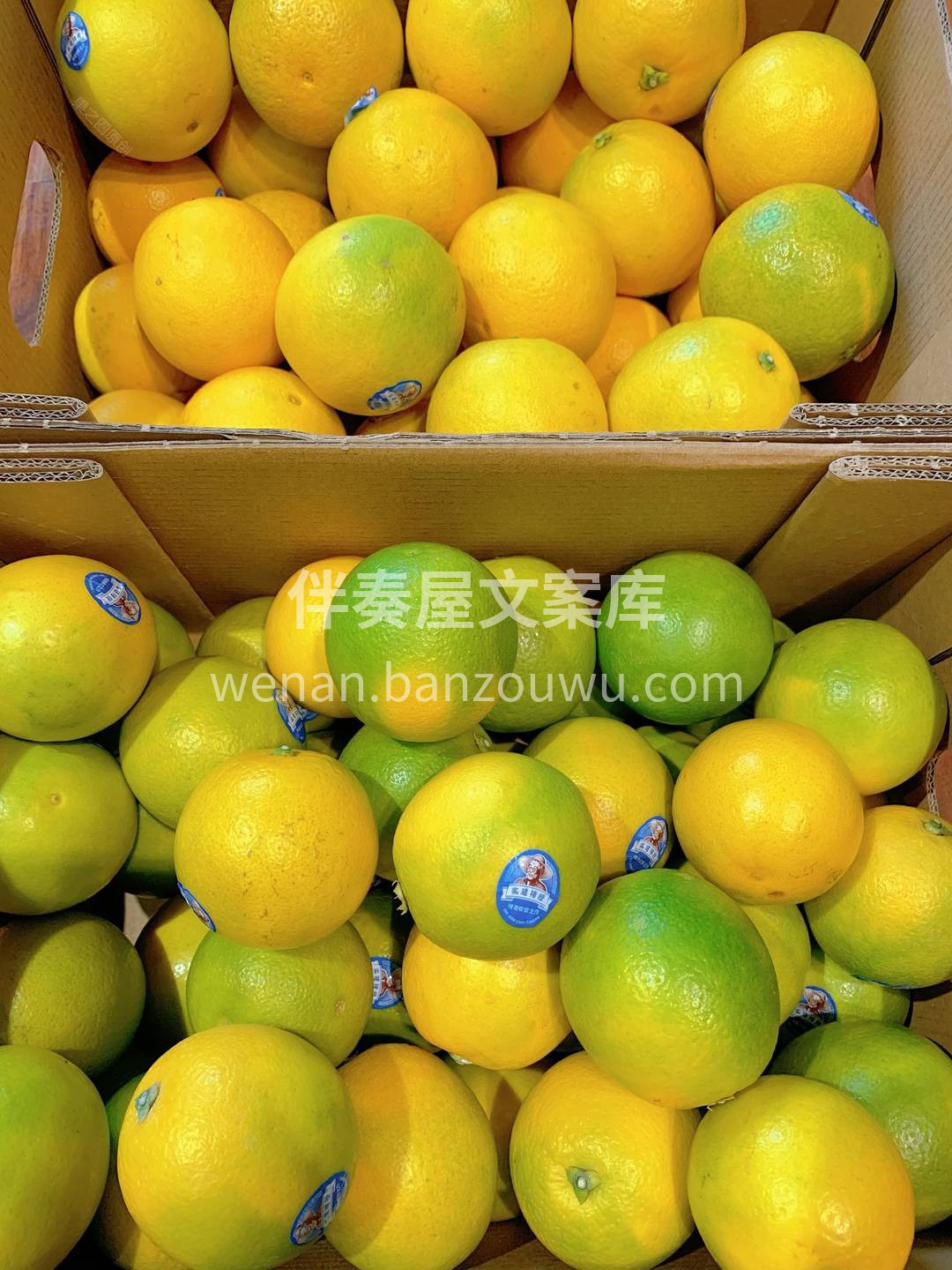 褚氏褚橙⛔不打蜡，⛔不用农药，⛔不施化肥 配图3