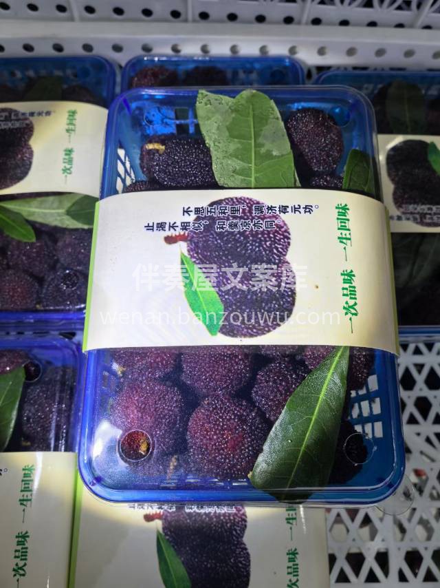 “人间至味，夏有杨梅” 夏天到啦，杨梅季 配图1