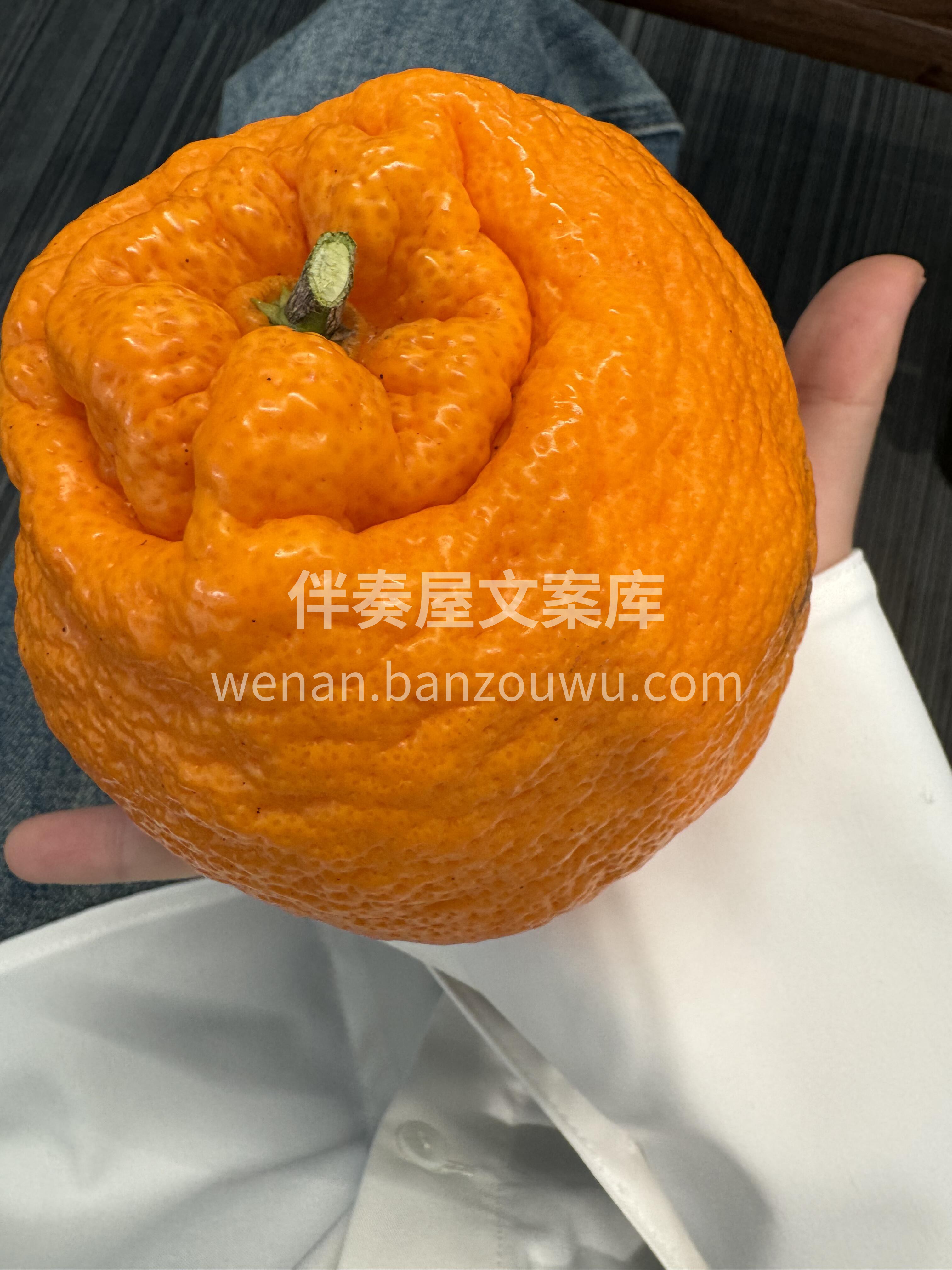 🍊 不知火丑橘越丑越甜！ 果皮粗糙像丑八 配图2