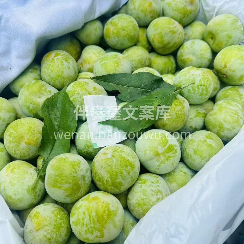 蜂糖李🤤怎么会有这么好吃的李子！😋绿色的 配图2