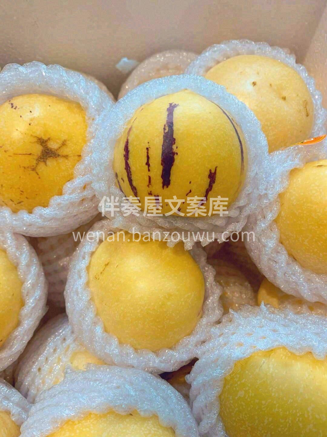 🔥干燥的时候吃一口人参果，就像在嗓间注入 配图3