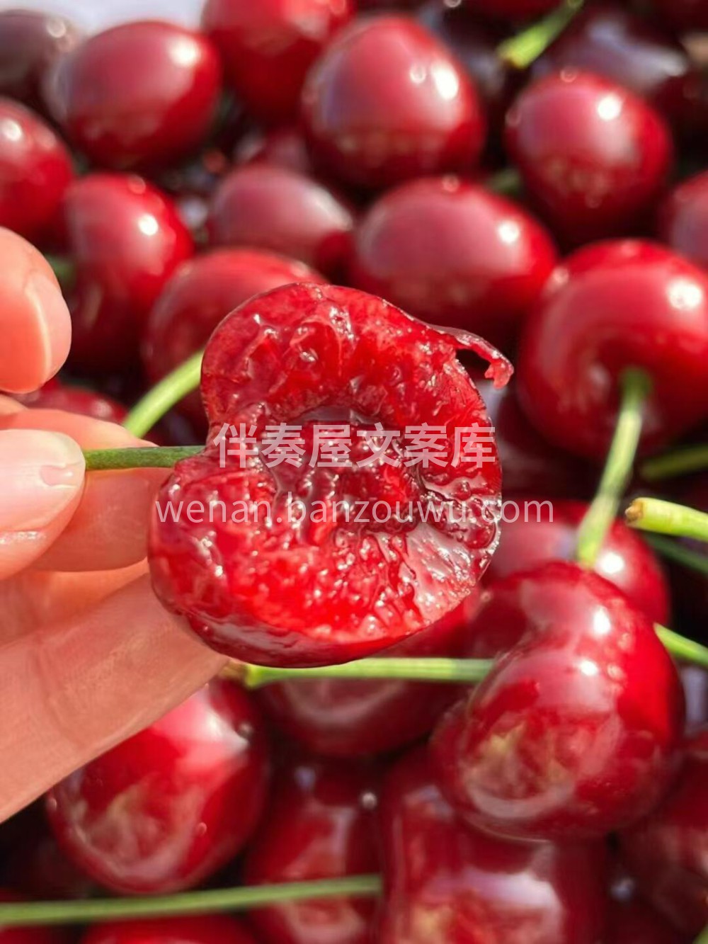 🍒 美早樱桃甜蜜上线！ 果粒硕大，汁水充 配图2