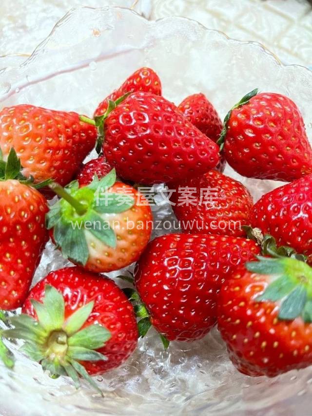 🍓吃了那么多草莓🍓，还是丹东九九更好吃‼ 配图3