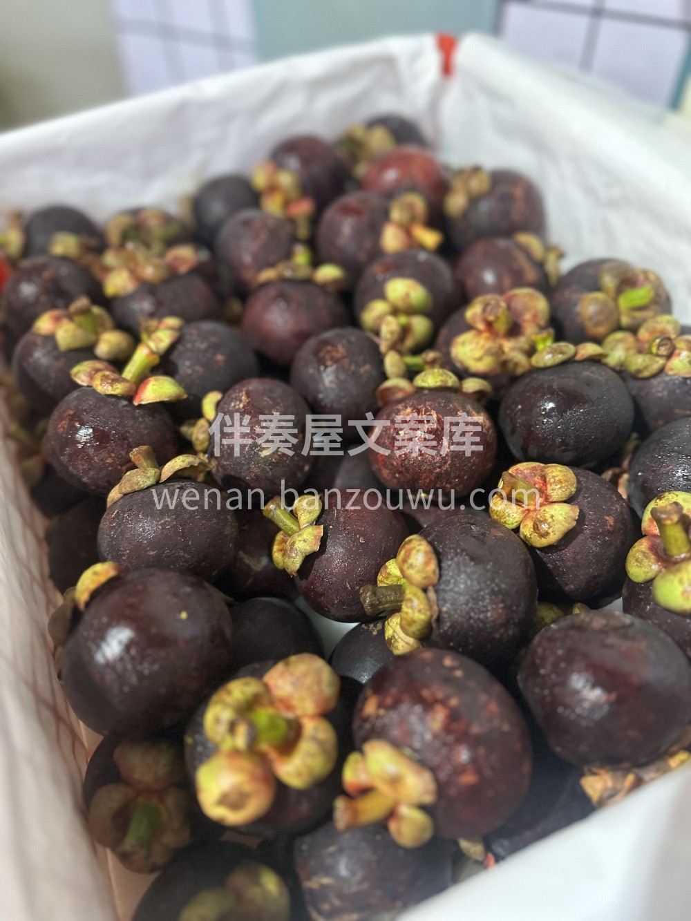 泰国红叶山竹🍃比绿叶山竹更甜一些！红叶山 配图3