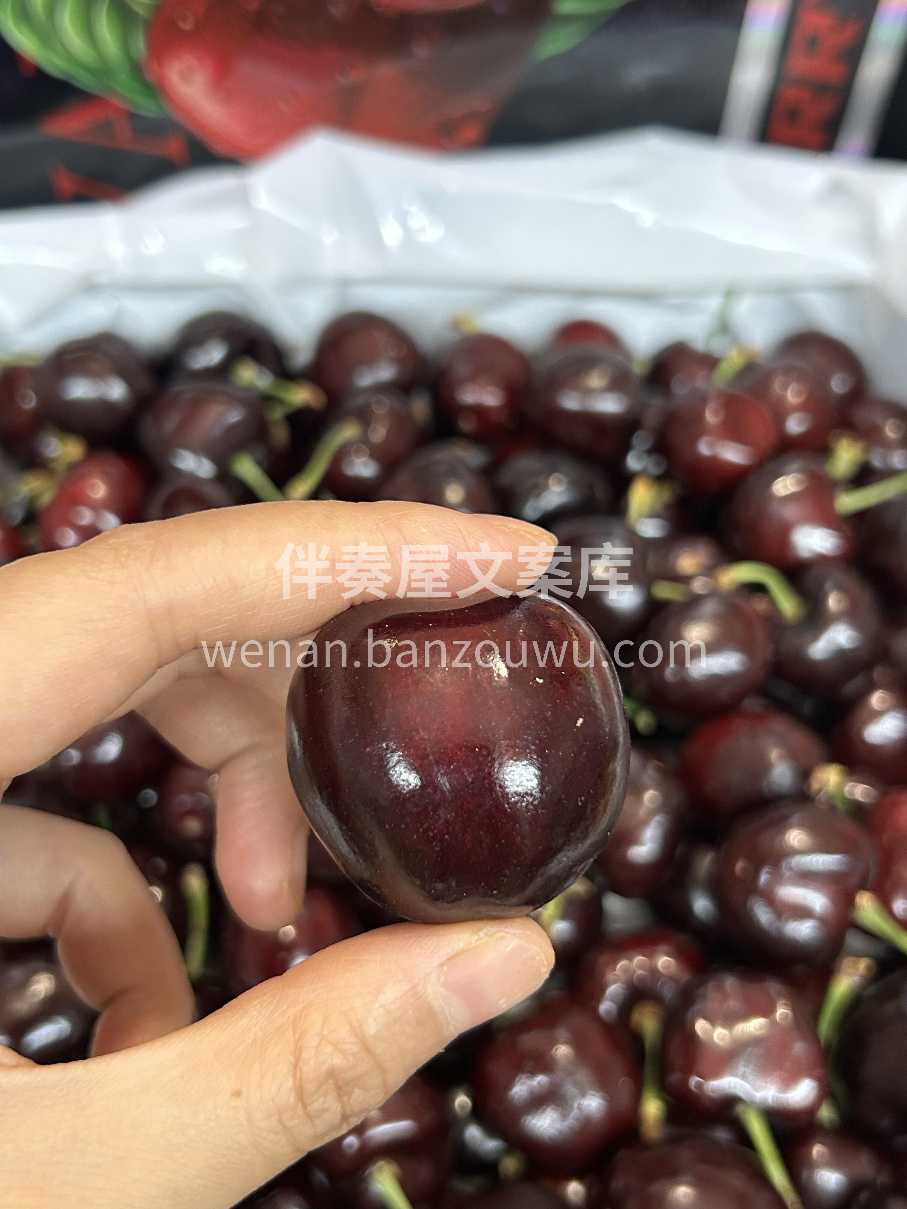 再甜的文案也不及这樱桃🍒🍒 樱桃向来被称 配图1