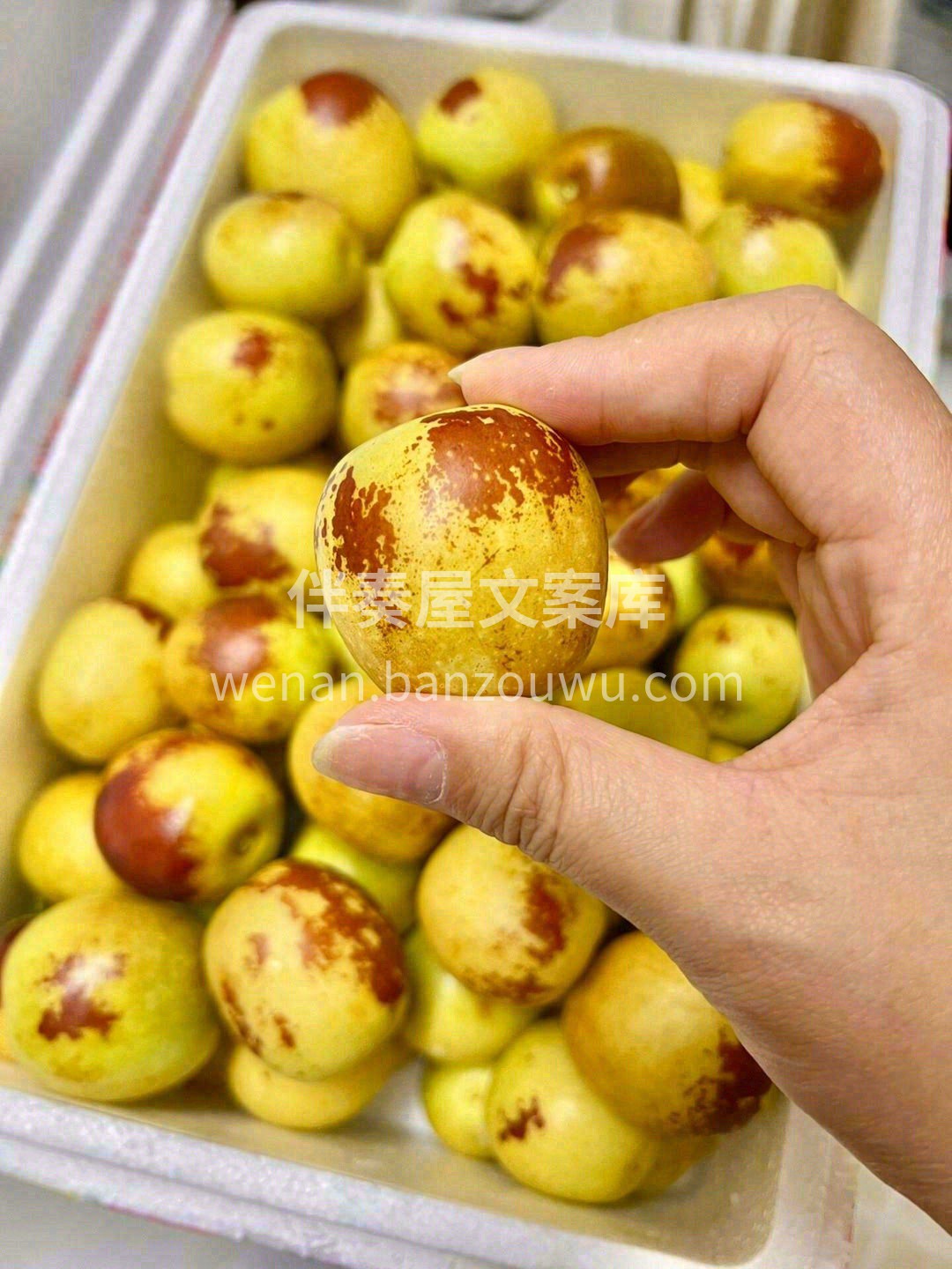 冬枣新鲜开箱🎁，超甜脆✅ 这个大冬枣核小 配图3