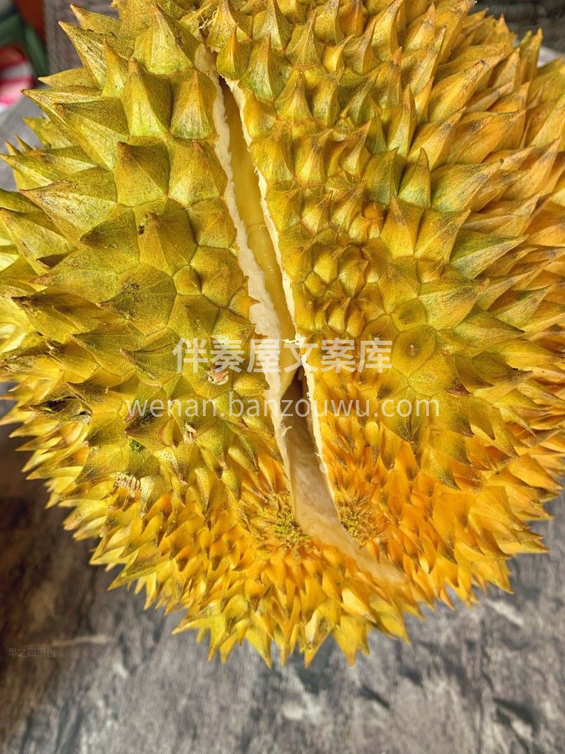 💅轻轻一掰，只听“嘎嘣”💥一声 金灿灿的 配图3