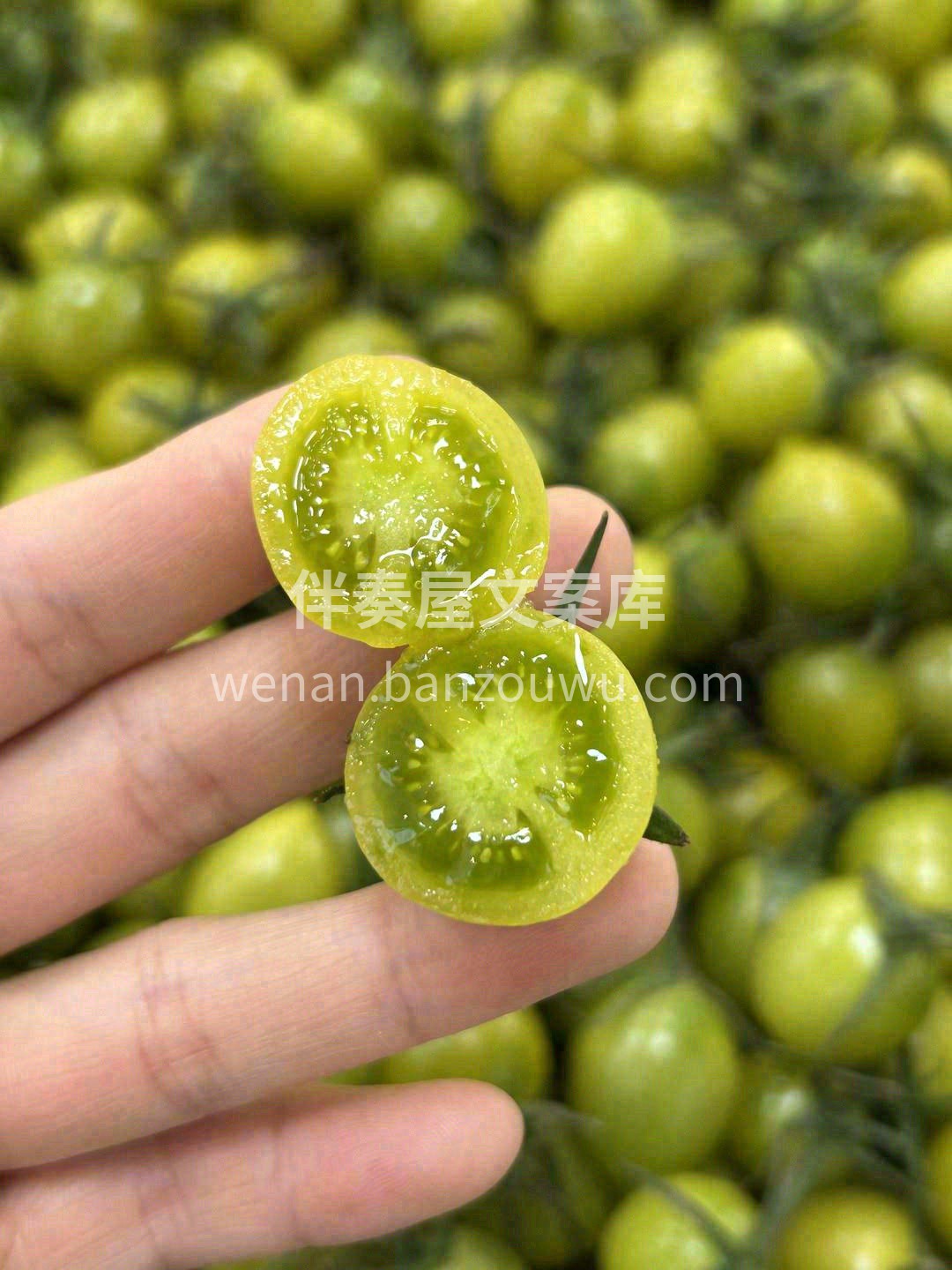 青口蜜有股清香的果味🍅 硬脆多汁💦💦，吃 配图1