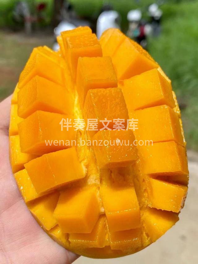 又到了吃芒果的好时节啦😍 香味十足凯特芒 配图1